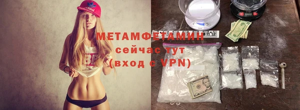 гидра Богданович