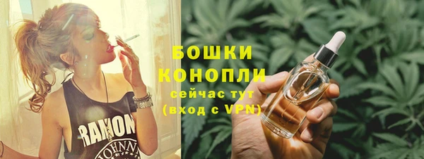 гашик Белокуриха