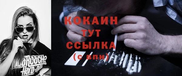 гашик Белокуриха