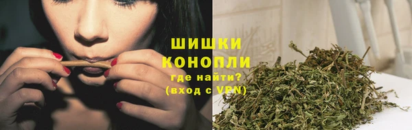 гашик Белокуриха