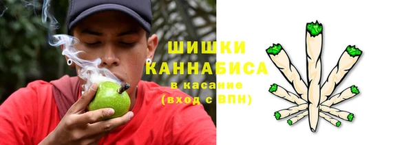 шишки Богородицк