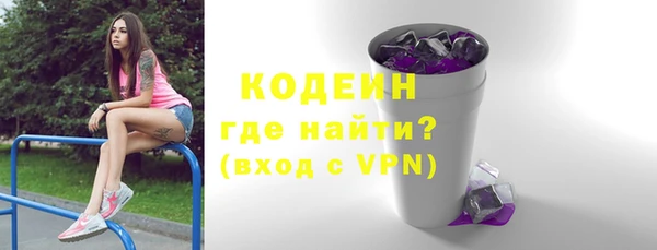 шишки Богородицк