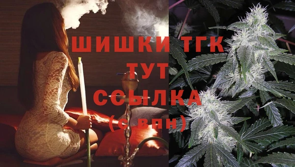 гидра Богданович