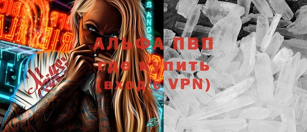 шишки Богородицк