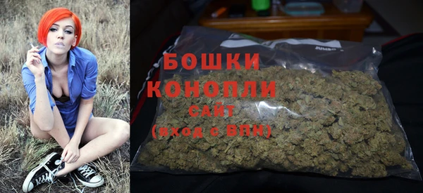 гидра Богданович
