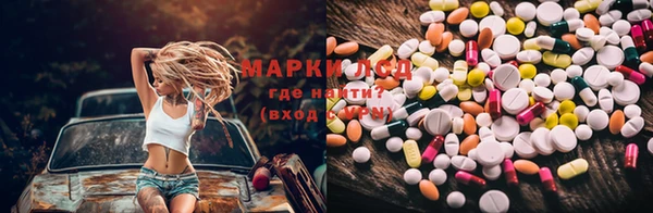 шишки Богородицк