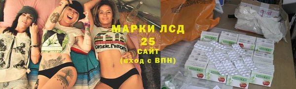 шишки Богородицк