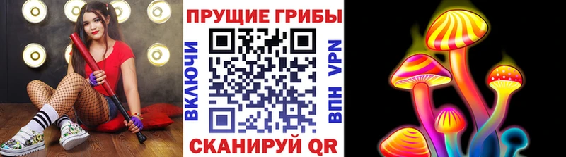 omg ONION  Велиж  Псилоцибиновые грибы Psilocybine cubensis 